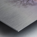 Millers Misty Morning Metal print