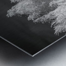 Luminous Guardians   Infrared Sentinels Metal print