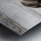 Wild Bonds   Wyoming Fellowship Impression metal