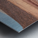 Wild Freedom   Wind River Guardians Metal print