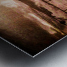 Vintage Spirits   Timeless Wyoming Metal print