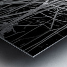 Enchanting Mangrove Tapestry: A Dance of Light and Shadows Metal print