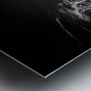 Monument of Serenity and Shadows Impression metal