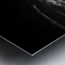 Timeless Path to the Mission Sanctuary Metal print