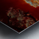 Ruby Bonsai: A Botanical Marvel Unveiled on Driftwood Beach Metal print