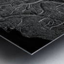 Veins of the Earth Metal print