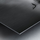 Contemplation Before the Storm Impression metal