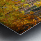 Elegy of Amber Leaves Impression metal