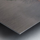 Winters Whispers Metal print