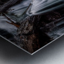 Liquid Light Through Natures Framework Metal print