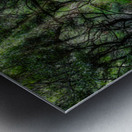 Melancholy Path Metal print