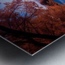 Copper Dreams at Lander Lake Metal print