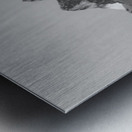 Tetons Dark Prelude Impression metal