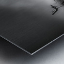 Contemplation Before the Storm Metal print