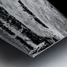 Solitary Sentinel Metal print