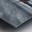 Autumns Floating Garden Metal print