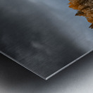 Autumns Golden Guardian Metal print