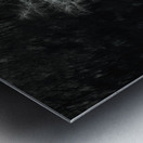 Luminous Spirits Metal print