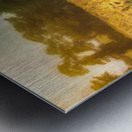 The Field That Remembers the Sun Metal print