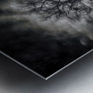 Oracle of the Flooded Forest Metal print