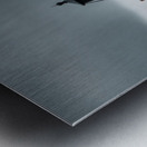 Timeless Sentinel of the North Shore Metal print