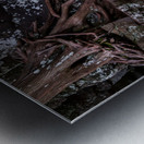 Ancient Bonds of Stone and Root Metal print