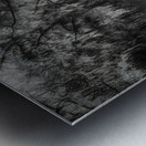 Veils of Time Metal print