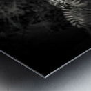 Ethereal Ferns: Whispers Beneath the Canopy Metal print