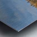 Autumns Masterpiece at Split Rock Metal print