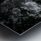 Still Water Hidden Doorway Metal print