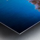 The Blue Garden Pavilion Metal print