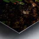 Solitary Spirit: Fern’s Embrace Metal print