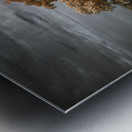 Guardian of the Bayou Country Impression metal