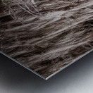 Sentinel of the Swamp Metal print