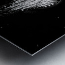 The Armor Beneath the Surface Metal print