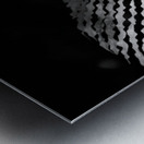 The Fern’s Quiet Frequency Metal print