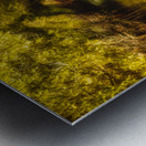 Tunnel of Ten Thousand Islands Metal print