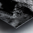 The Patient King Metal print