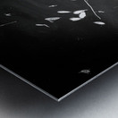 Stillness with Teeth Metal print