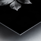 The Leaf That Floats Metal print