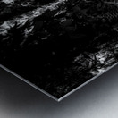 Fernlight Metal print