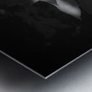 Six Petals of Quiet Fire Metal print