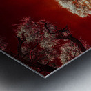 Ruby Bonsai: A Botanical Marvel Unveiled on Driftwood Beach Impression metal