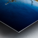 Isolated Serenity: Rows End Metal print