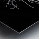 Ghost Dancer  Metal print