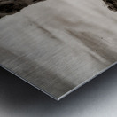 Silent Testaments of the Trail Metal print