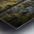 Solitude Amidst Serenity: The Lone Pine Tree by the Lake Impression metal