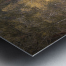 Black Hills Melody Metal print