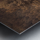 Forest Peninsula Metal print