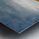 Shadows and Reflections: Overhanging Trees on Center Lake Metal print